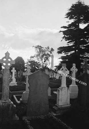 GLASNEVIN CEMETERY FR.W.F.BROWNE'S GRAVE